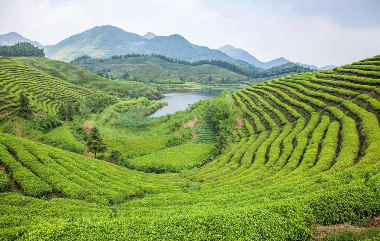 1588737125461198.png 1588737125461198.png